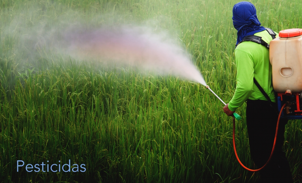 Pesticidas.jpg
